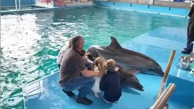 Новая шоу-программа "Наследие" в Набережночелнинском дельфинарии