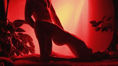 Чувственное порно с силуэтами