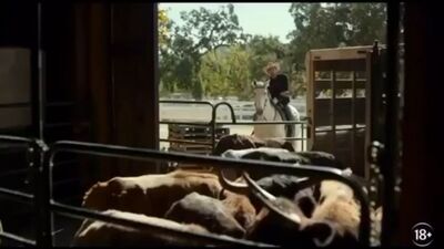 Video by Киноцентр "Премьер" Ейск