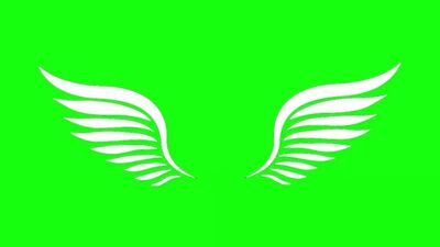 ANIMATE WINGS (Animação de Asas) Chroma key for intro.mp4