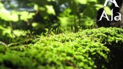 Super8 & Tab feat. Alyna - Perfect Day (Original Mix Edit)