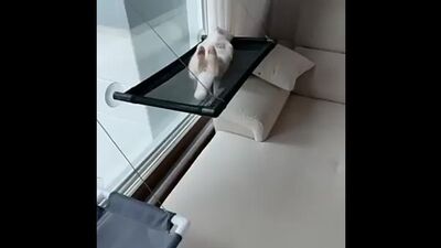 Доброе субботнее утро