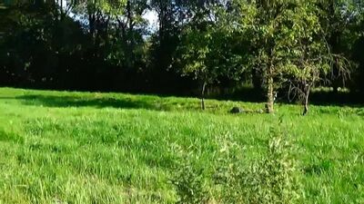 Video by Подслушано Волхов