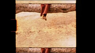 Клаудия Салас