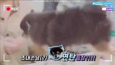 Ёнтан?Чонгук?Тэхен?-Вигуки и их ребеночек)