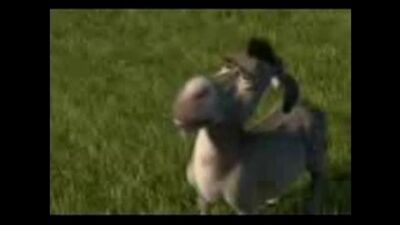 ШРЕК И ОСЕЛ НА ЛАКСКОМ..(+18) ВУХАХХА