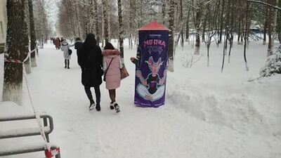 Электро-кот в Тобольске