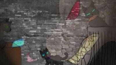 Бич коты воители