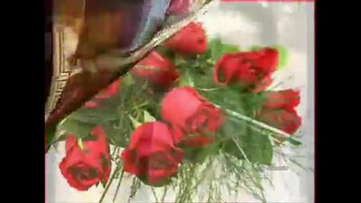 Жади и Латифа из сериала клон танцуют танец живота