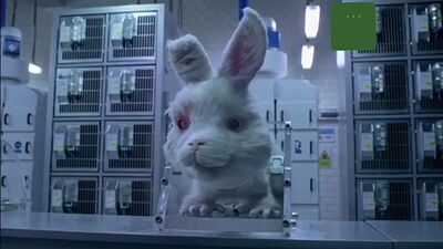 Кролик Ральф