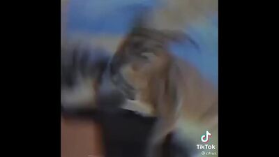 Биг Флоппа доказал что шарит за Биг Паппу