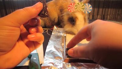 [А ну-ка Давай-ка] Кролик БАФФИ и OREO NESQUIK Giant Chocolate Candy! Слишком много конфет для Баффи ШОКОЛАДКА для БАФИ