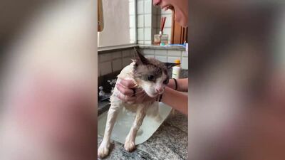 Чтож вы творите ироды