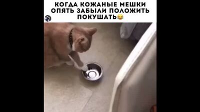 Video by Японский Бох - доставка суши и пиццы | Барнаул