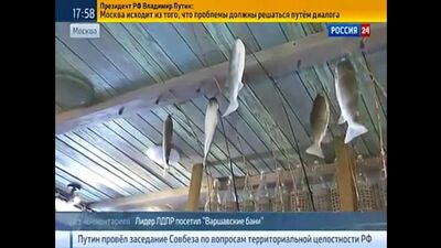 Жириновский в бане с молодыми мальчиками