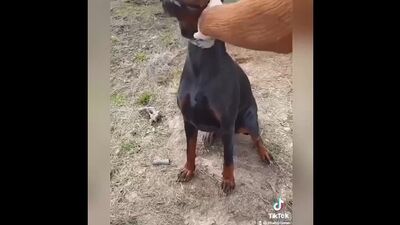 УМНЫЙ НЕГР И ЛАЙФХАКИ ИЗ ТИК-ТОКА ВСТРАТЫЕ ЛАЙФХАКИ ТУПЫЕ ЛАЙФХАКИ.mp4