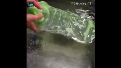 Искусственный лист капусты