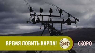 Время ловить карпа