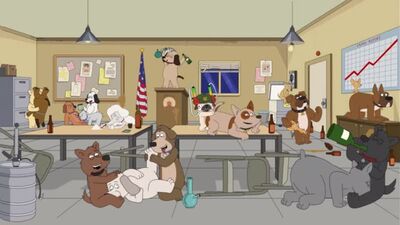 Полиция Парадайз. Собачья вечеринка