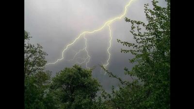 Дневник Бомжа - клип