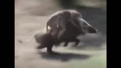 Пятница! Валим домой с работы