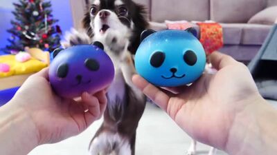 [Magic Pets] АНТИСТРЕССЫ ПРОТИВ ВОЛШЕБНЫХ ПИТОМЦЕВ! ЧТО ВНУТРИ СКВИШИ?