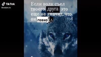 Цитаты Волка из ТикТока (Мем) - Волк не тот кто волк, а тот кто волк (Мемы про Волка) (720p)