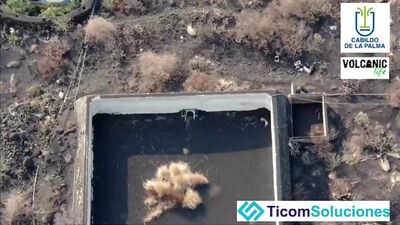 Video by Авиасейлс