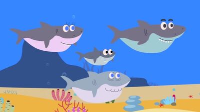 АКУЛЕНОК | РАЗВИВАЮЩАЯ ДЕТСКАЯ ПЕСНЯ-МУЛЬТИК ПРО ЖИВОТНЫХ