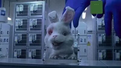 Кролик Ральф [Лепрозорий]