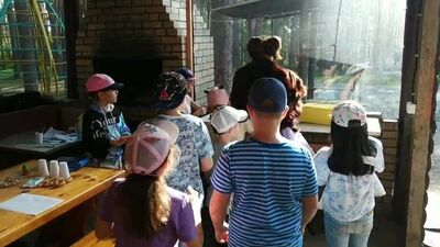 Обезьяна ЧиЧиЧи)