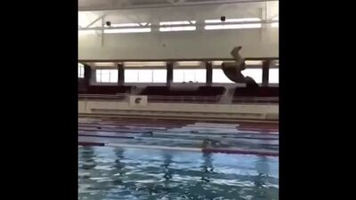 Взгляд кошки, грация картошки