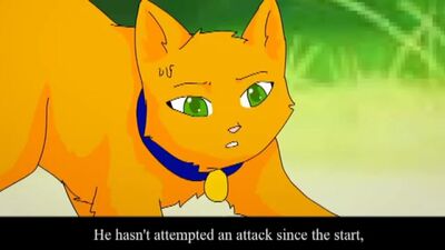 Коты Воители Стань Диким Серия 6