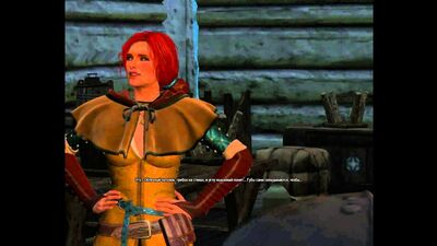 Прохождение The Witcher 3 Wild Hunt [Ведьмак 3 дикая охота - Сокровища Графа Ройвена] Часть 120