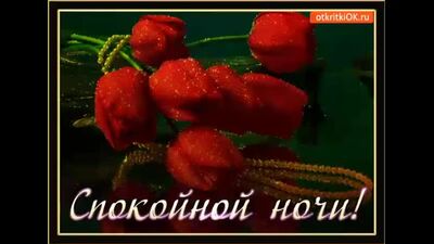 Video by ЧП Старая Русса ©