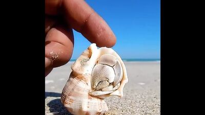 Video by Пицца КУБА |Воронеж