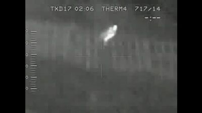 Мутанты чернобыля