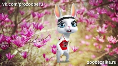 Шикарное поздравление с днем рождения женщине девушке! Красивые поздравления ZOO_HIGH.mp4