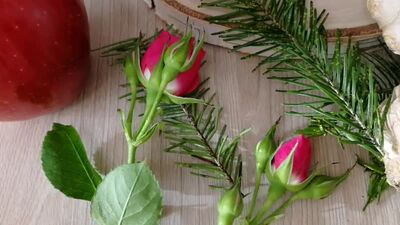 Мини-Фруктовый букет, 3 фрукта, яблоки, лимон, имбирь, мята