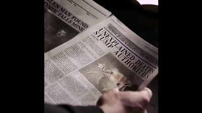 The vampire diaries | damon salvatore | stefan salvatore | elena gilbert | caroline forbes | jeremy gilbert