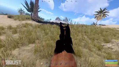 Верховая Езда на Staging Branch