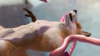 Taurin fox and Water Twntacles