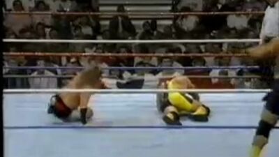 Steiner Brothers vs Heavenly Bodies - 30/8/93