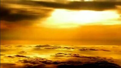 Желтые Тюльпаны Караоке