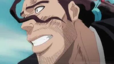 Айзен против капитанов и вайзардов