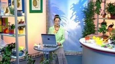 Академия занимательных наук. Биология - Выпуск №1