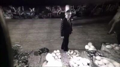 Алек Лайтвуд за кем-то следит