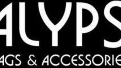 Женская сумка Sevilya