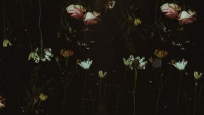 Александра Магелатова. «Полдень»/Noon. Trailer