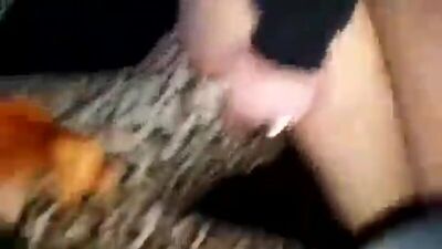 Жену сексвайф трахают в машине